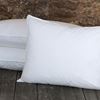Picture of Charleston Comforter & Bed Pillows