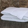 Picture of Seabrook Comforter & Bed Pillows